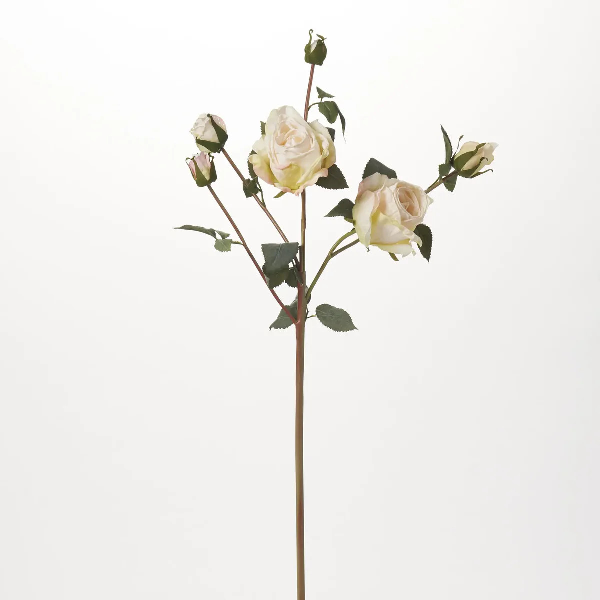 Real Touch Dried Look Cream Rose Bloom & Bud Faux Floral Stem Spray - 26" | Darby Creek Trading