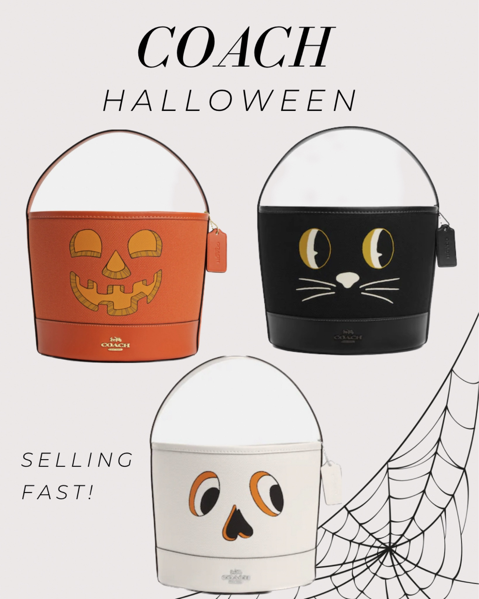 COACH Halloween purses Love these Halloween bags from
COACH. I can't decide which one is my favorite 🎃




Halloween I Fall Fashion
Halloween Outfits
Halloween Costumes
Code Orange | Pumpkin
Purse Cat Purse Skull
Purse
#LTKHalloween
#LTKSeasonal

#LTKfindsunder100 #LTKSeasonal #LTKHalloween