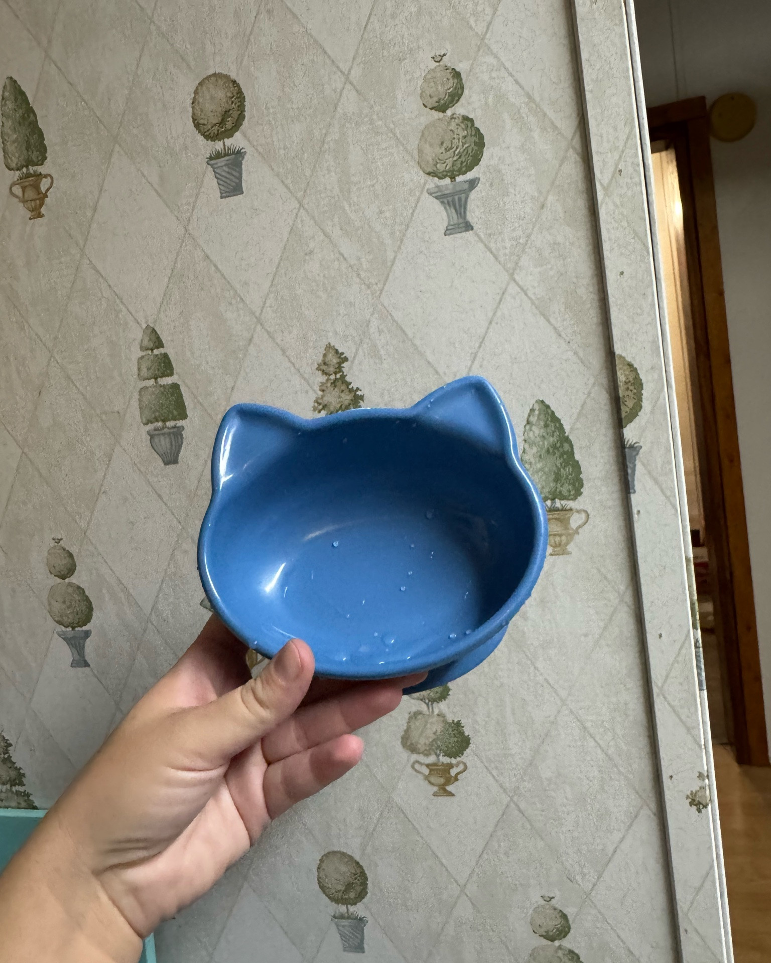 The cutest elevated cat bowl at an unbeatable price! Thanks Walmart!