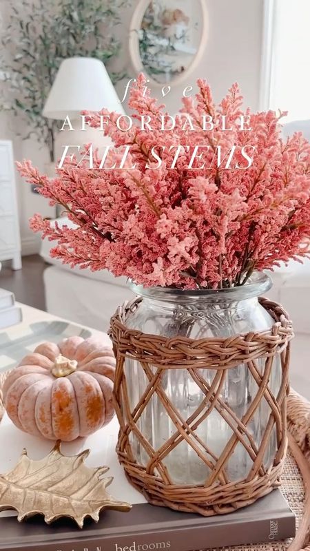 Affordable fall stems, faux florals, fall florals, dried naturals, fall decor, neutral fall decor, neutral home 

#LTKSeasonal #LTKhome