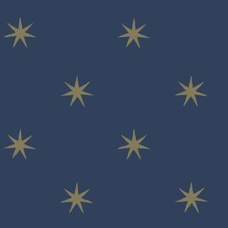 ERIN & BEN CO. Navy and Metallic Gold Star Splendor Paper Peel and Stick Matte Wallpaper PSW145... | The Home Depot