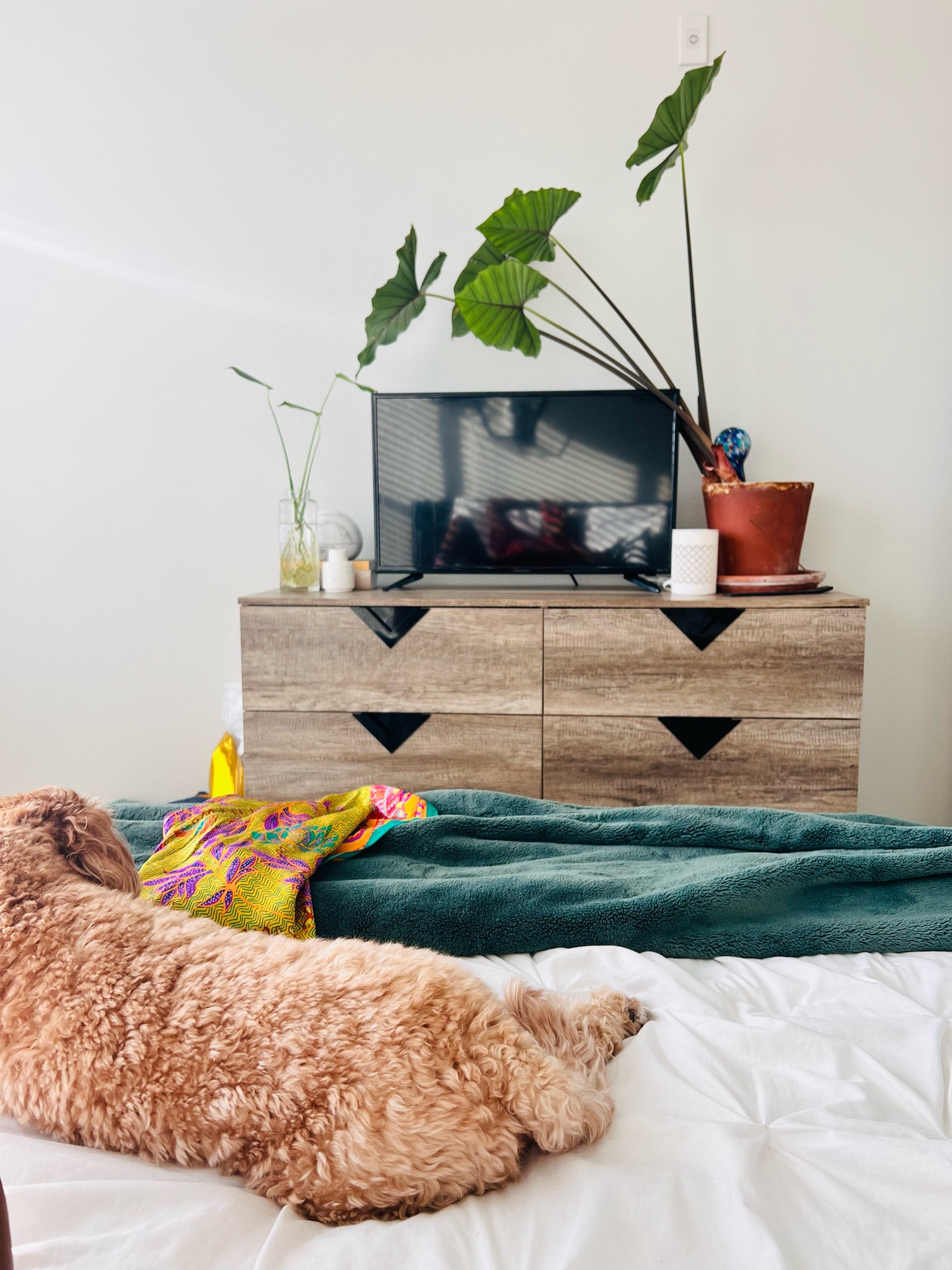 Cozy enough to hit snooze 2 more times??

#LTKsalealert #LTKGiftGuide #LTKhome