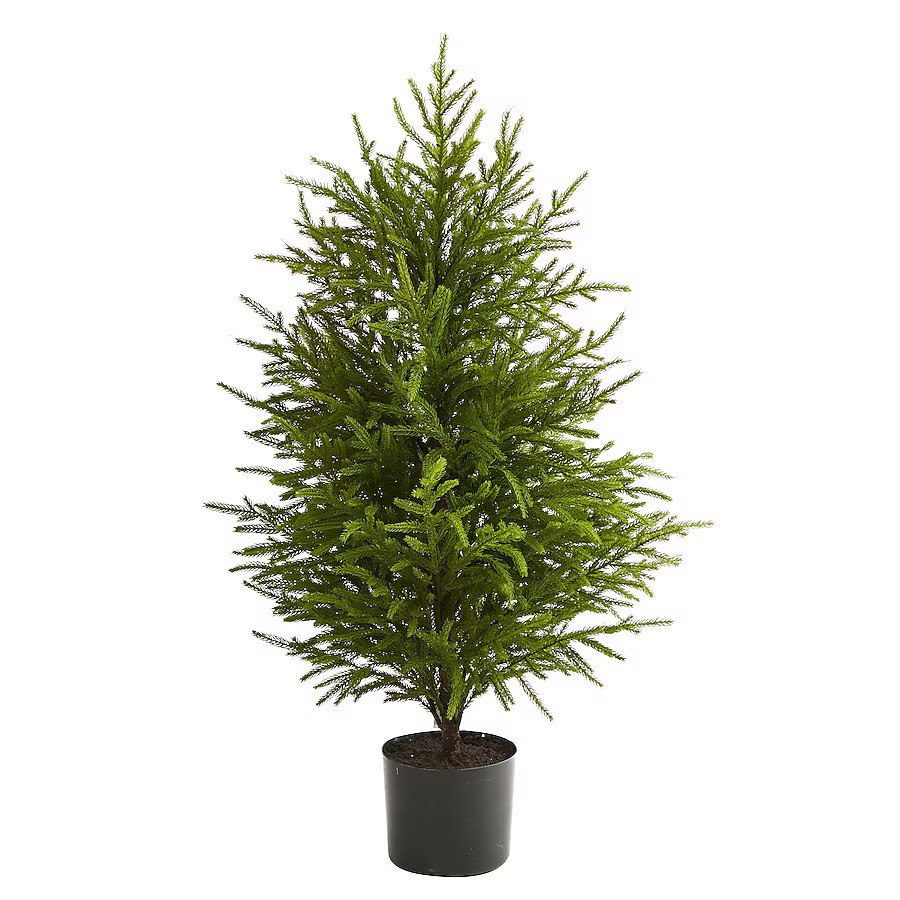 Christmas Trees | Lowe's