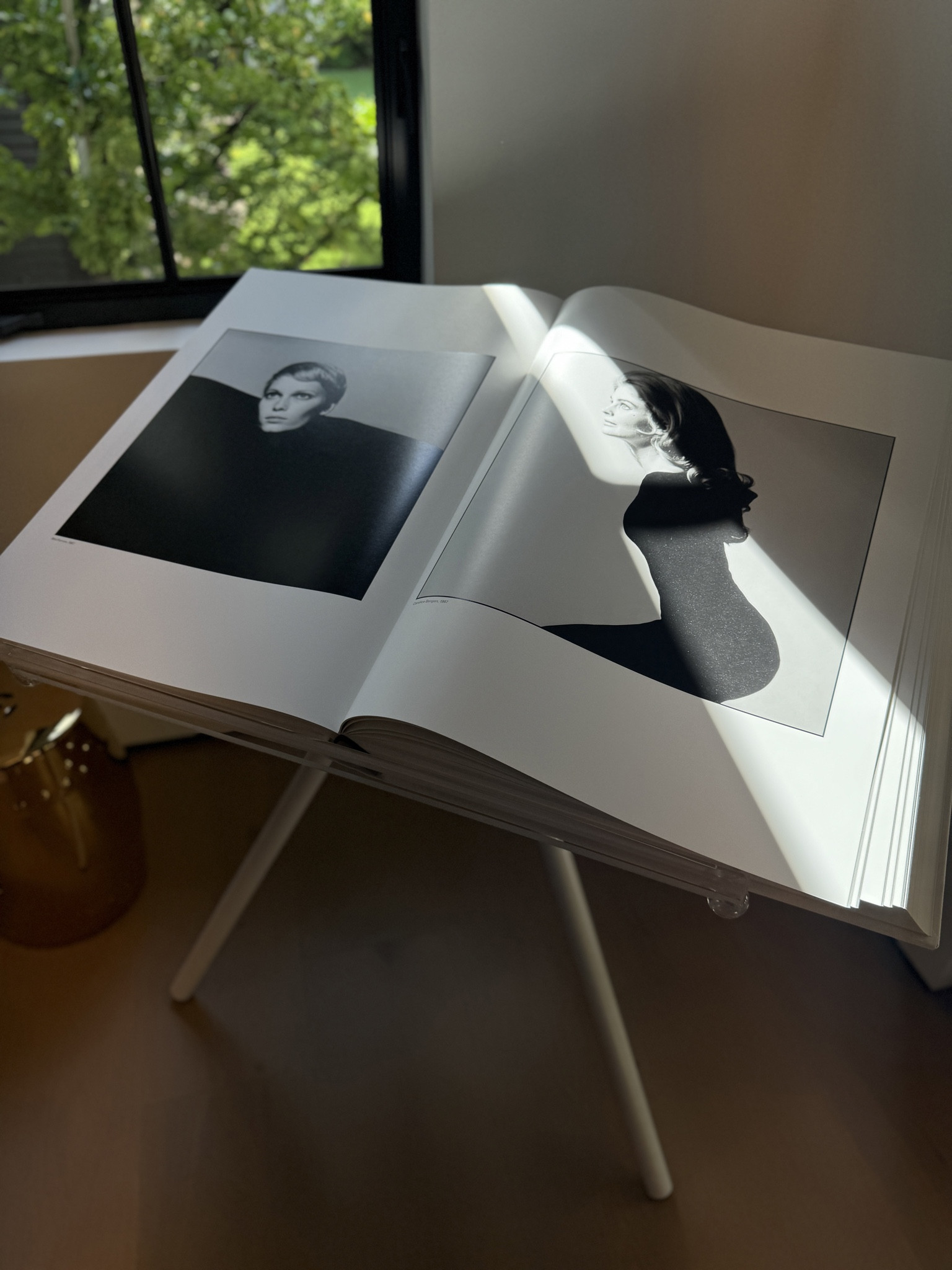 Iconic book perfect to add to any room. Comes with stand, 4 book jackets, and each book is signed by David Bailey 📖 #homedecor #bookstands 

#LTKGiftGuide 

#LTKhome #LTKtravel