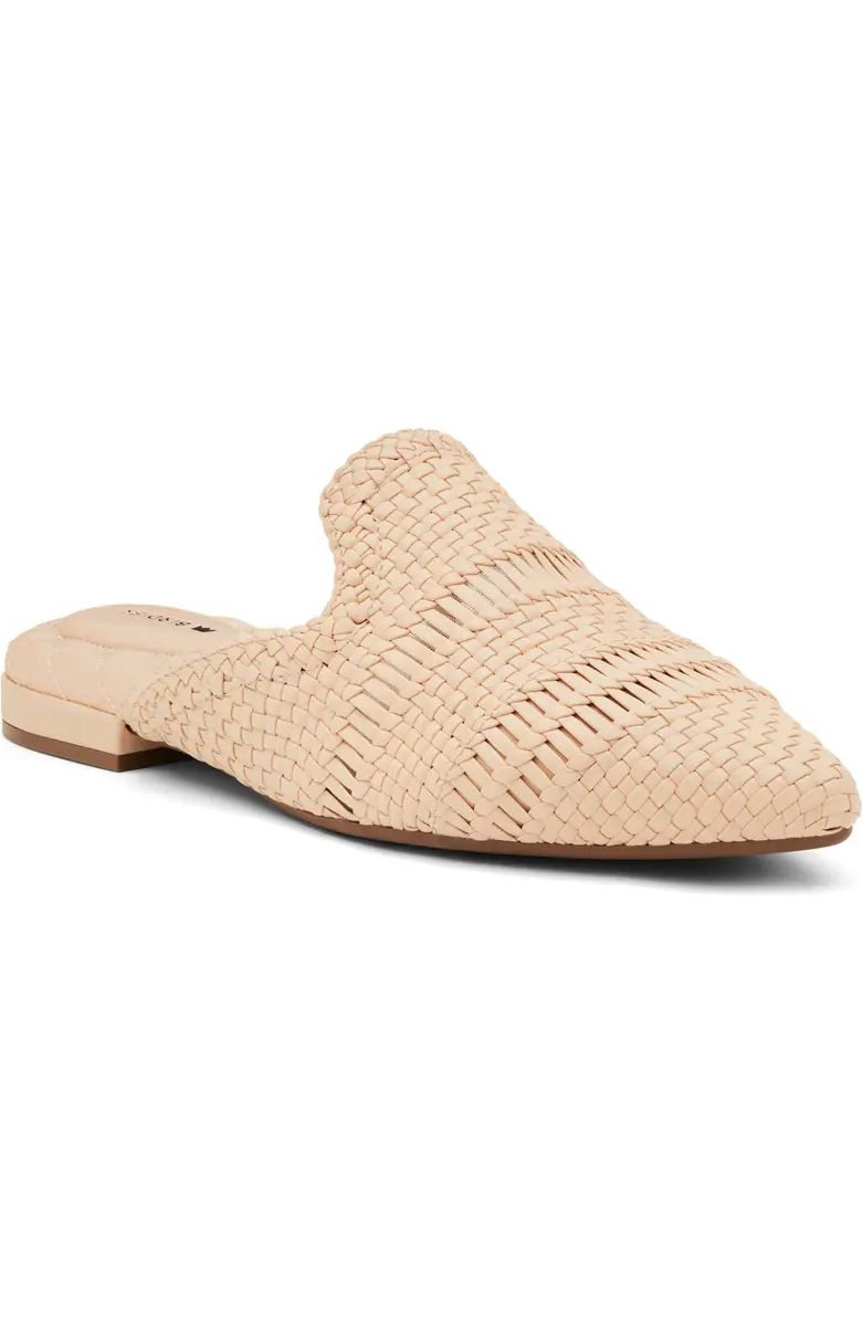 Dove Woven Pointed Toe Mule (Women) | Nordstrom