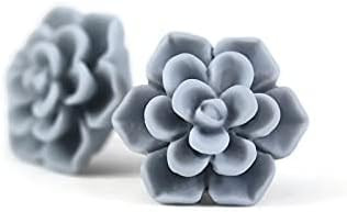 Hypoallergenic Succulent Earrings for Sensitive Ears, Plastic Posts | Amazon (US)