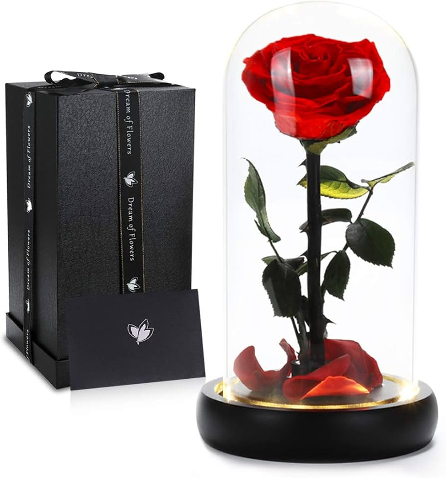 Dream of Flowers Birthday Gifts for Women,Beauty and The Beast Rose, Handmade Preserved Real Rose in Glass Dome on Black Wood with Warm Light, Rose Gifts for Women, Birthday, Anniversary Mothers Day | Amazon (US)