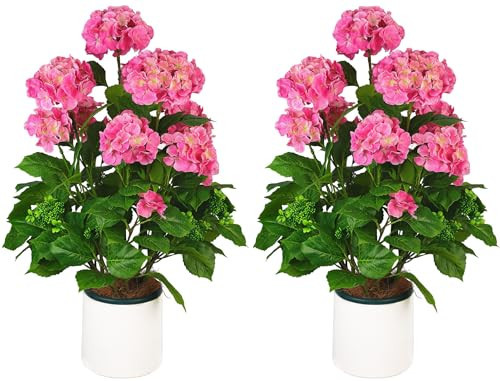 Artificial Trees for Home Decor-3FT Artificial Hydrangea Indoor with Pot - tall artificial plants UV Resistant for Indoor Outdoor Front Porch | Amazon (US)