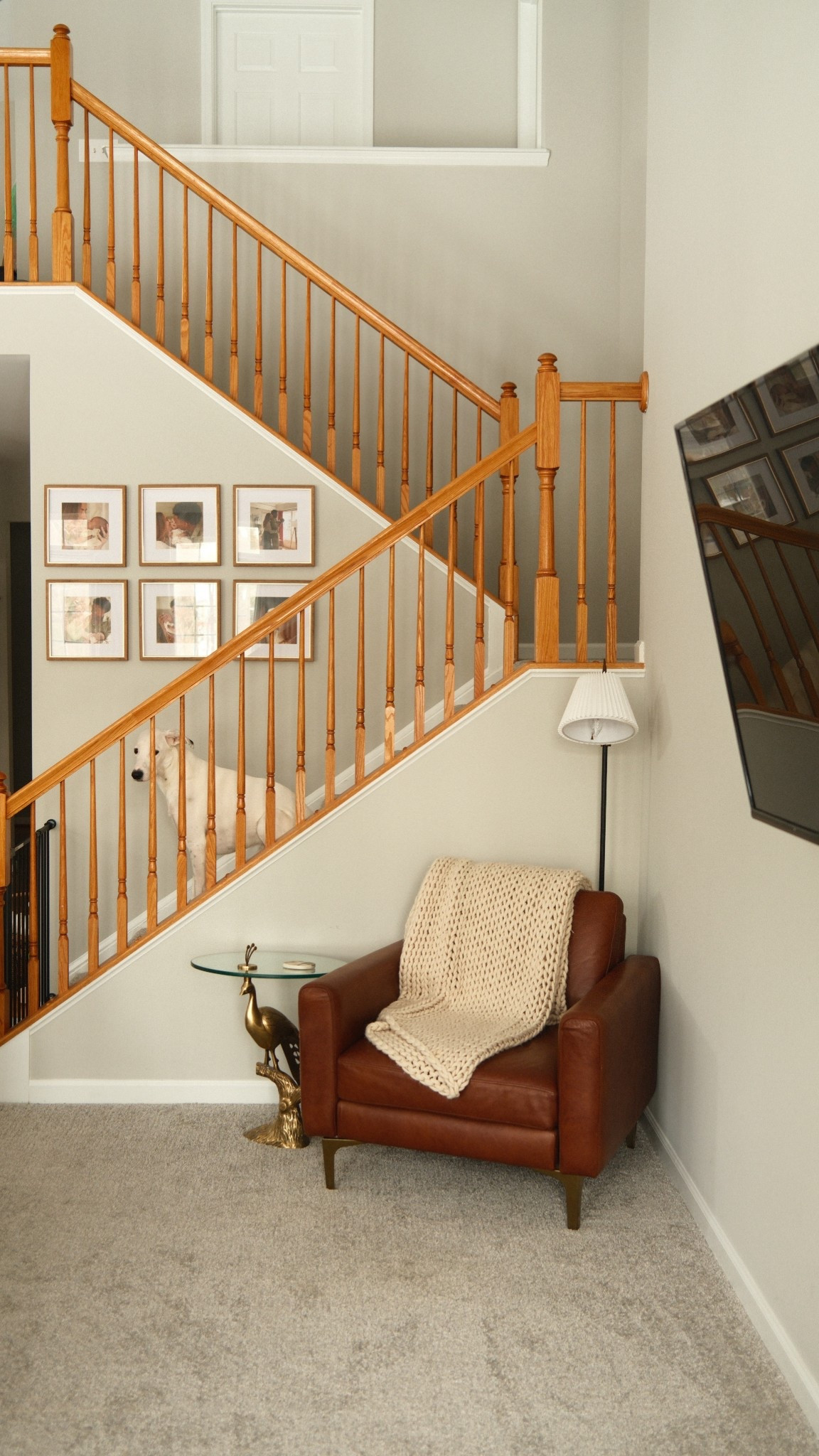 Earthy Modern Home Decor

#LTKHome #LTKSaleAlert #LTKdayinmylife