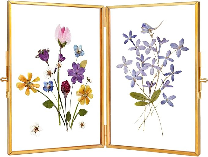 REDHUGO Glass Pressed Flower Frame Handmade, Hinged Double Press Flower Frame, Tabletop Brass Pho... | Amazon (US)