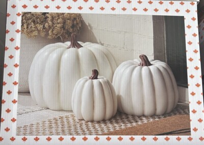 2024 Hobby Lobby Nesting Stackable White Pumpkin Set Fall Halloween Decor  | eBay | eBay US