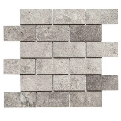 The Wilds 2" x 4" Porcelain Mosaic Wall & Floor Tile | Wayfair North America