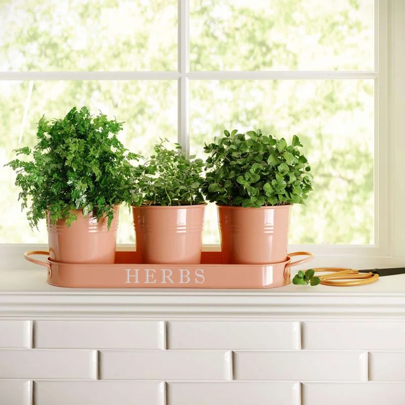 Holton 3-Piece Metal Pot Planter | Wayfair North America