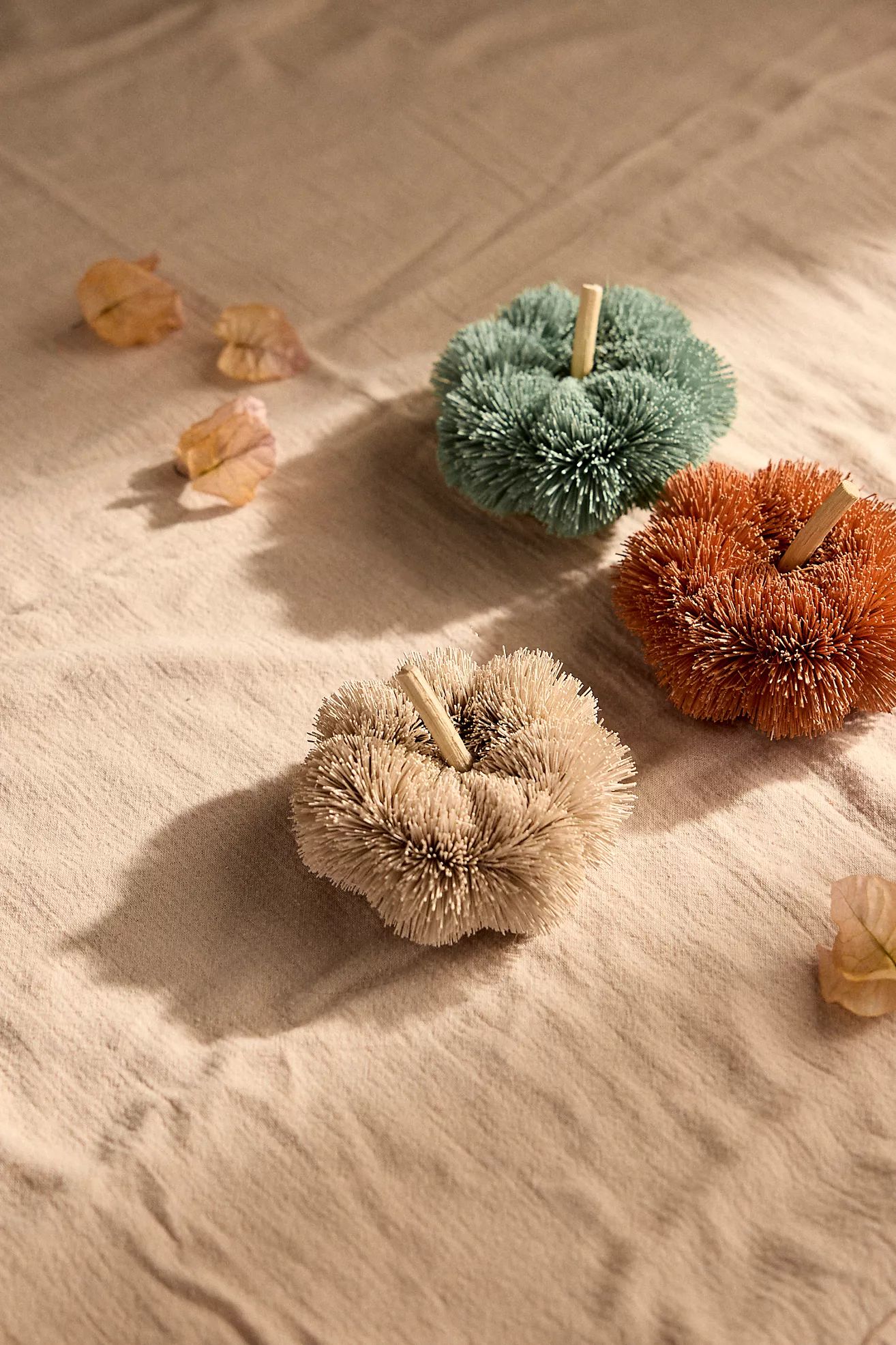 Brush Pumpkins, Set of 3 | Anthropologie (US)