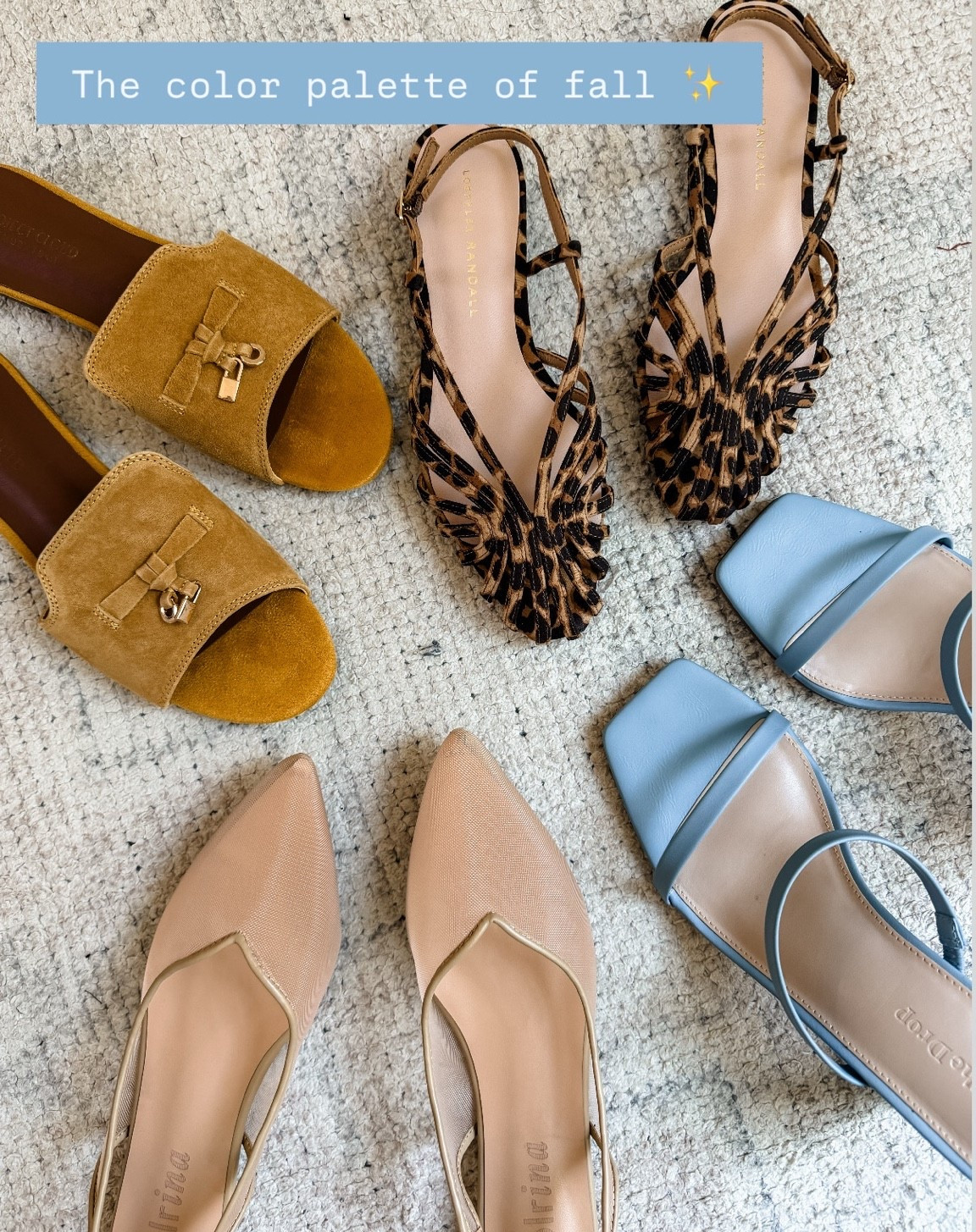 These shoe finds from Amazon are SO good! 😍 Perfect for fall!

Loverly Grey, Amazon, blue heels, mesh shoes, suede sandals, leopard print

#LTKSeasonal