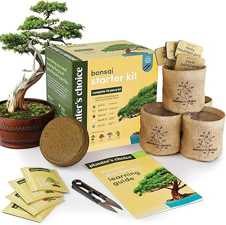 Bonsai Starter Kit - Gardening Easter Gift for Women & Men - Bonsai Tree Growing Garden Crafts Ho... | Amazon (US)
