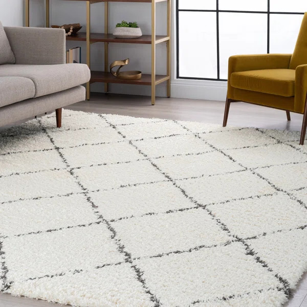 Asine Geometric Shag White Area Rug | Wayfair North America