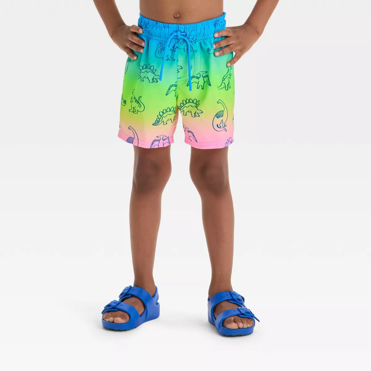 Toddler Boys' Dinosaur Printed Ombre Swim Shorts - Cat & Jack™ | Target