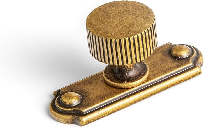 Goo-Ki Antique Brass Zinc Alloy Cabinet Knob with Backplate - Single Hole Center Cabinet Pull Har... | Amazon (US)
