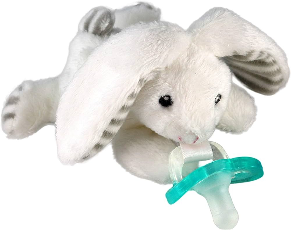 RaZbaby JollyPop Pacifier, Holder w/Detachable Baby Pacifier, Stuffed Animal RaZbuddy, All Ages 0... | Amazon (US)