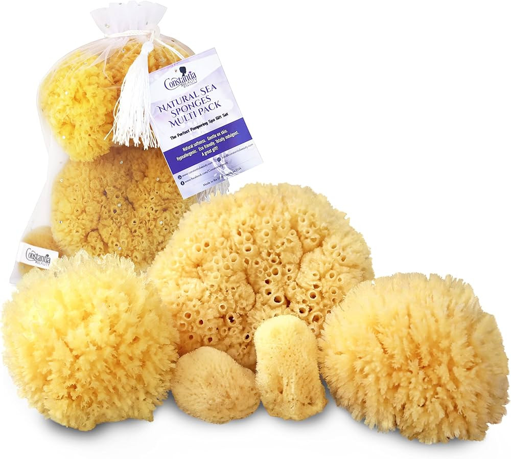 Real Natural Sea Sponges Multipack - 5pc Spa Gift Set in Premium Bag, Kind on Skin, for Bath Show... | Amazon (US)