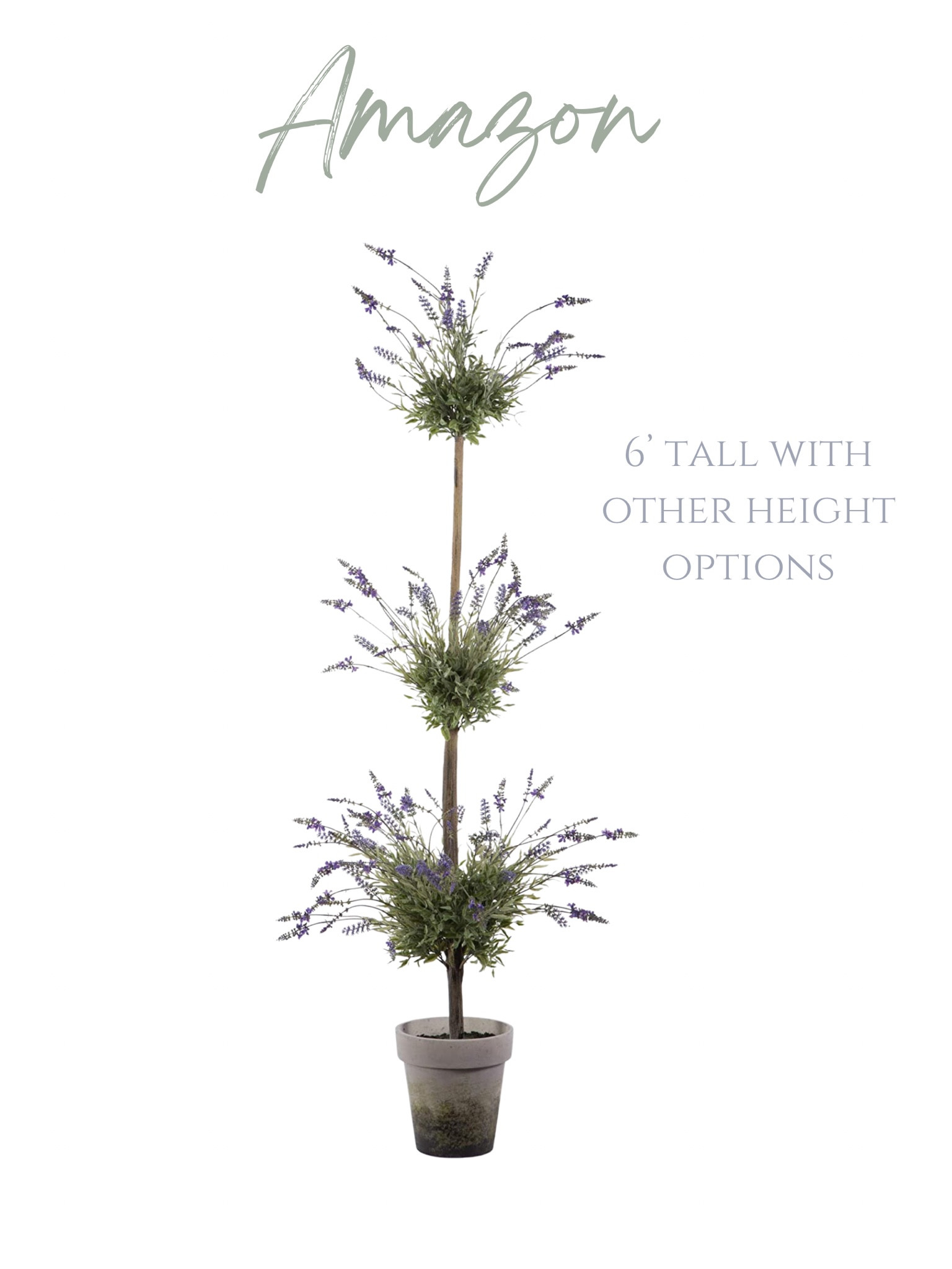 This lavender topiary tree would be a beautiful addition to your outdoor space!  





Amazon home find, farmhouse front porch, 

#LTKhome #LTKFind #LTKSeasonal