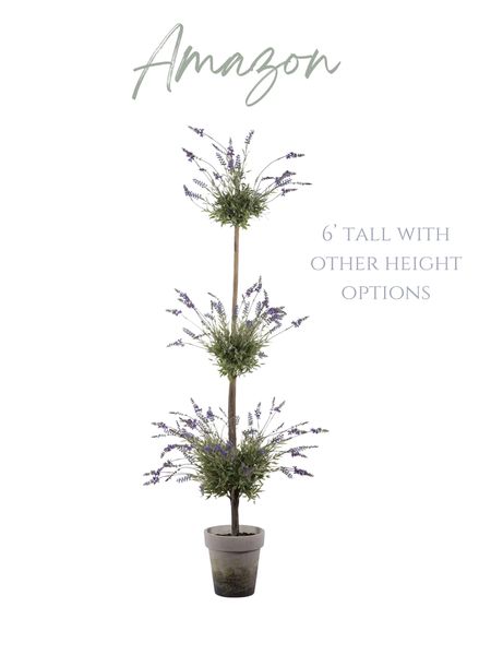This lavender topiary tree would be a beautiful addition to your outdoor space!  





Amazon home find, farmhouse front porch, 

#LTKhome #LTKFind #LTKSeasonal