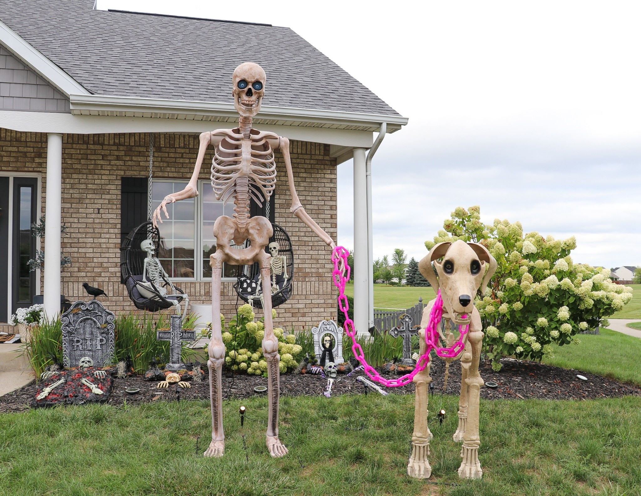 Giant Skeleton with projection eyes and animated sounds!

#giantskeleton 

#LTKHome #LTKParties #LTKSeasonal