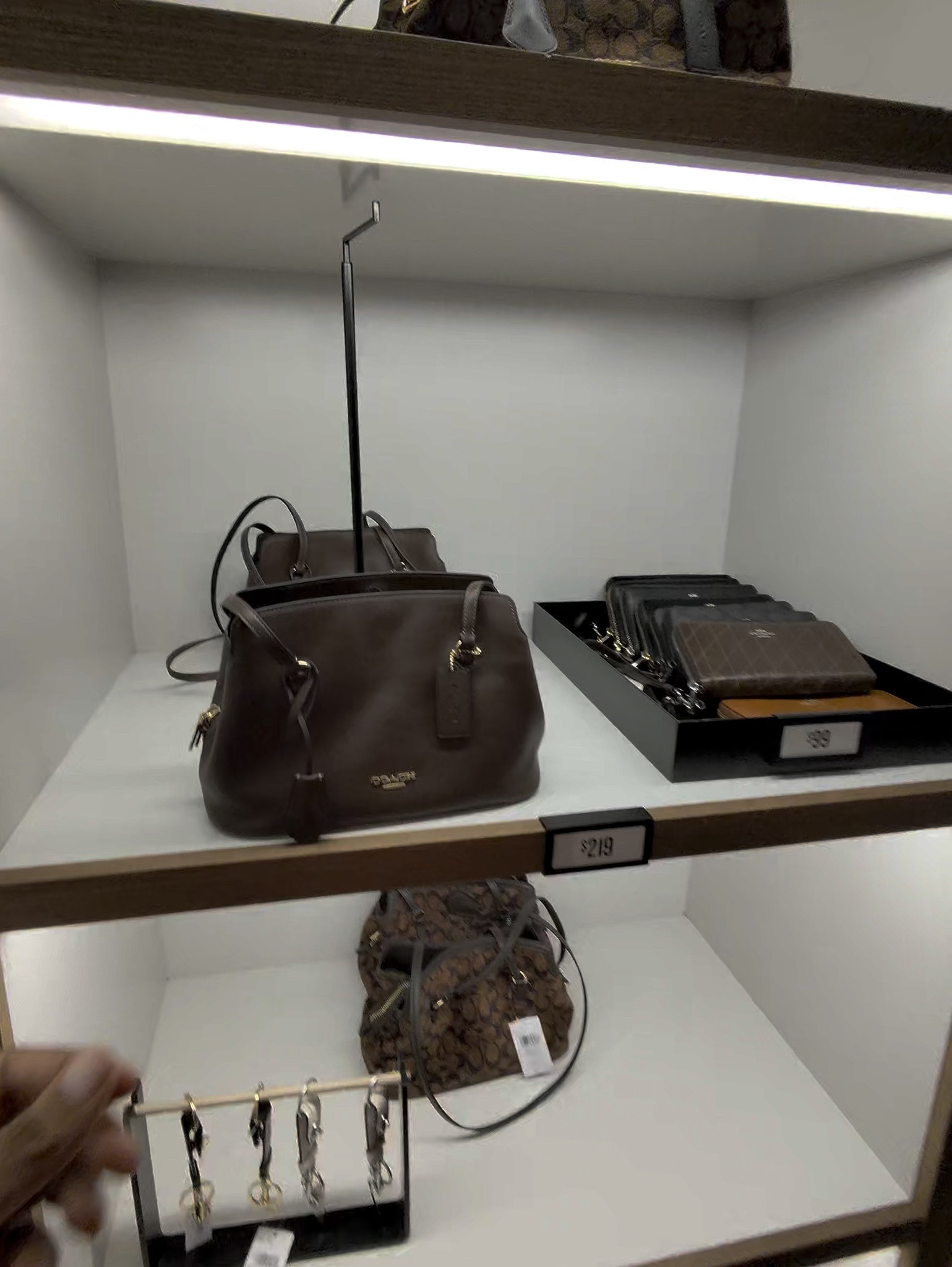 Your next favorite handbag might be in this new drop! 👜✨ There are so many fresh styles to browse, whether you love classic bags or something a little more trendy. I pulled together some of my favorites for you. Tap to shop!

#handbags #newdrop #baglover #fashionfinds #affordableluxury