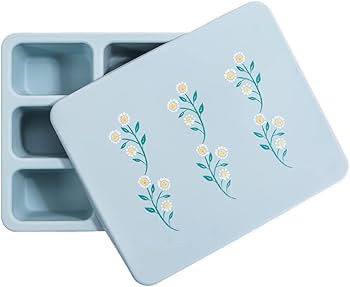 Austin Baby Co Leak-Proof Bento Lunch Box for Kids – Silicone Kids Lunch Container with 5 Leakp... | Amazon (US)