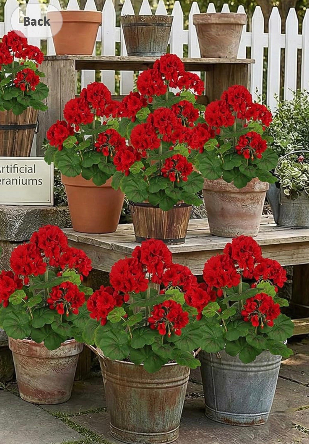 The best faux outdoor geraniums. Fear up for Memorial Day and 4th of July-

#LTKSeasonal #LTKHome #LTKSaleAlert