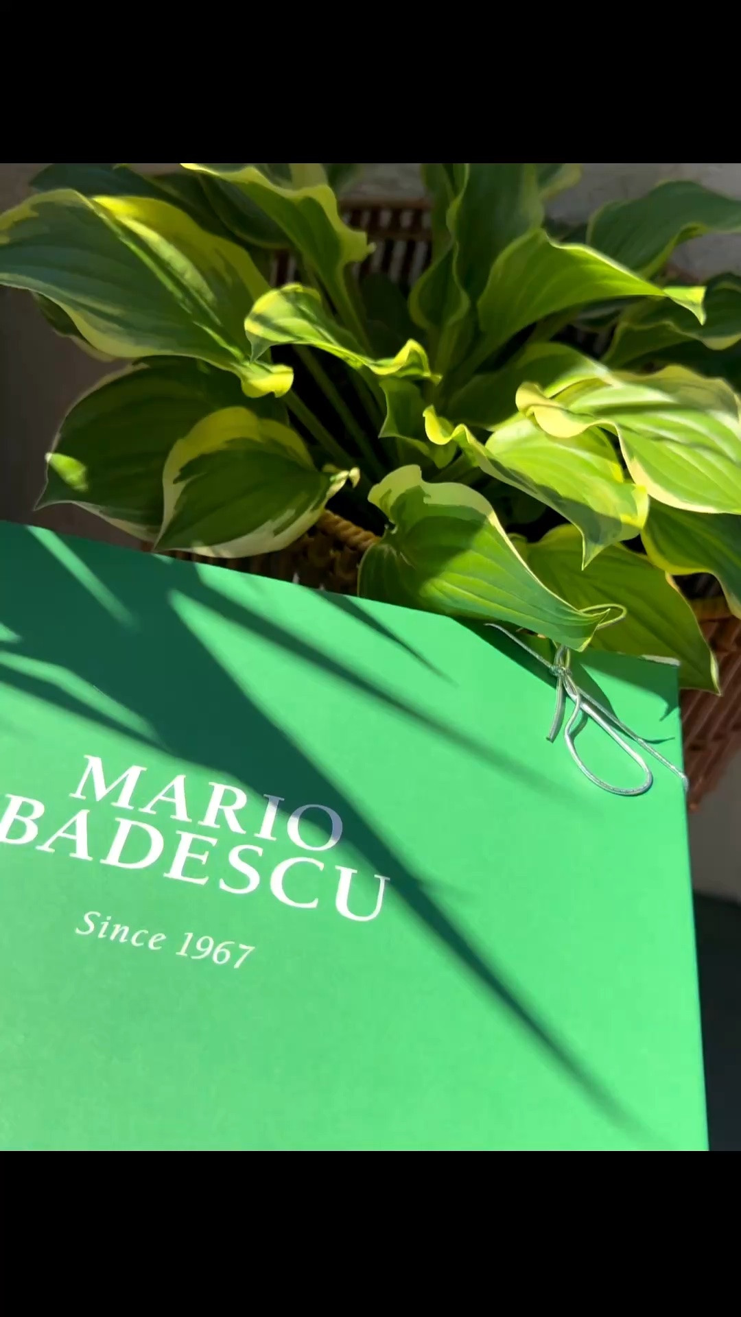 ✨Thank You @Mario Badescu for this Incredible Hair & Body Collection!!

✨I Can’t Wait To Use it on Myself and My Clients 🫶🏾

#skincare #mariobadescu #productsponsor #haircare

#LTKdayinmylife #LTKBeauty #LTKselfcare