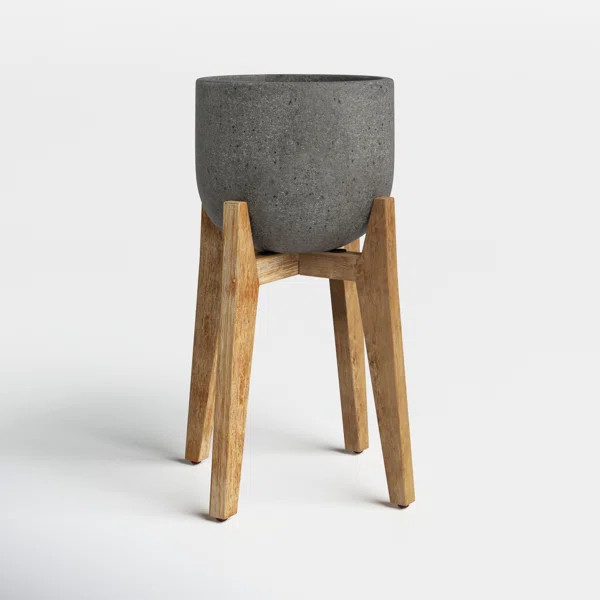 Enola Pot Planter | Wayfair North America