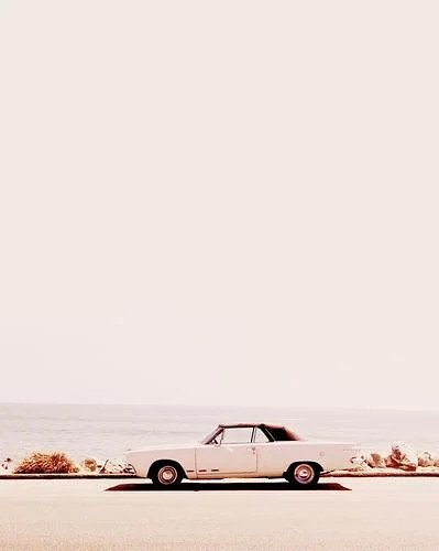 California Dreaming | Artfully Walls