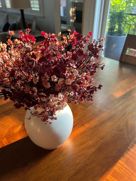 Fall centerpiece, fall decor, faux baby’s breath - used a mix of “autumn red” and “beige brown"

#LTKunder50 #LTKhome #LTKSeasonal