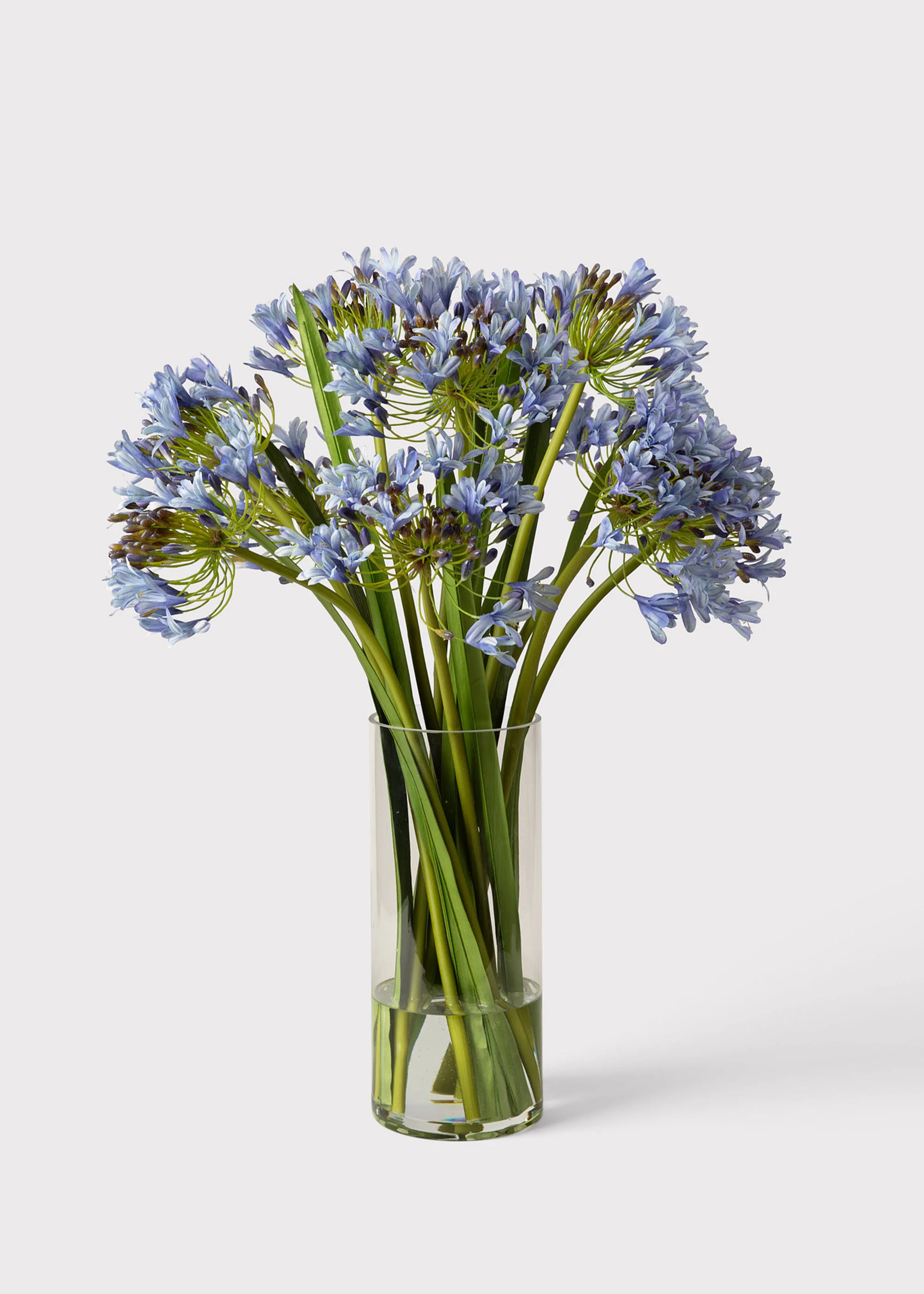 Blue Agapanthus in Vase | Artificial Flower Arrangements | Afloral | Afloral