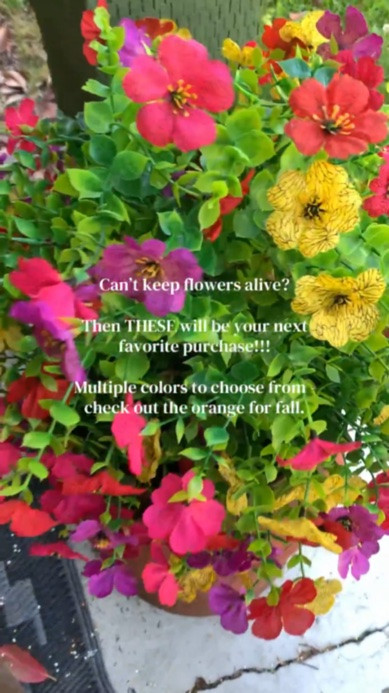The most realistic looking flowers 💐 #flowers #fauxflowers #porchready

#LTKSaleAlert #LTKHome #LTKSeasonal