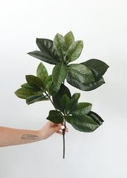 Artificial Magnolia Leaf Stem - 26" Tall | Afloral (US)