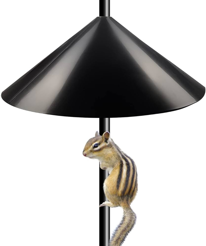 Garbuildman Squirrel Baffle for Bird Feeder Pole, Outside Pole Mount Bird House Guard for Outdoor... | Amazon (US)