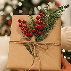 Norme 40 Pcs Christmas Floral Picks Christmas Greenery for DIY Gift Wrapping Plants Red Berry Pin... | Amazon (US)