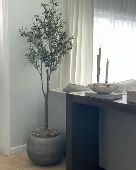 Shop my entryway 

Olive tree, planter, sofa table, console table, candle sticks, marble bowl

#LTKSale 

#LTKSeasonal #LTKhome