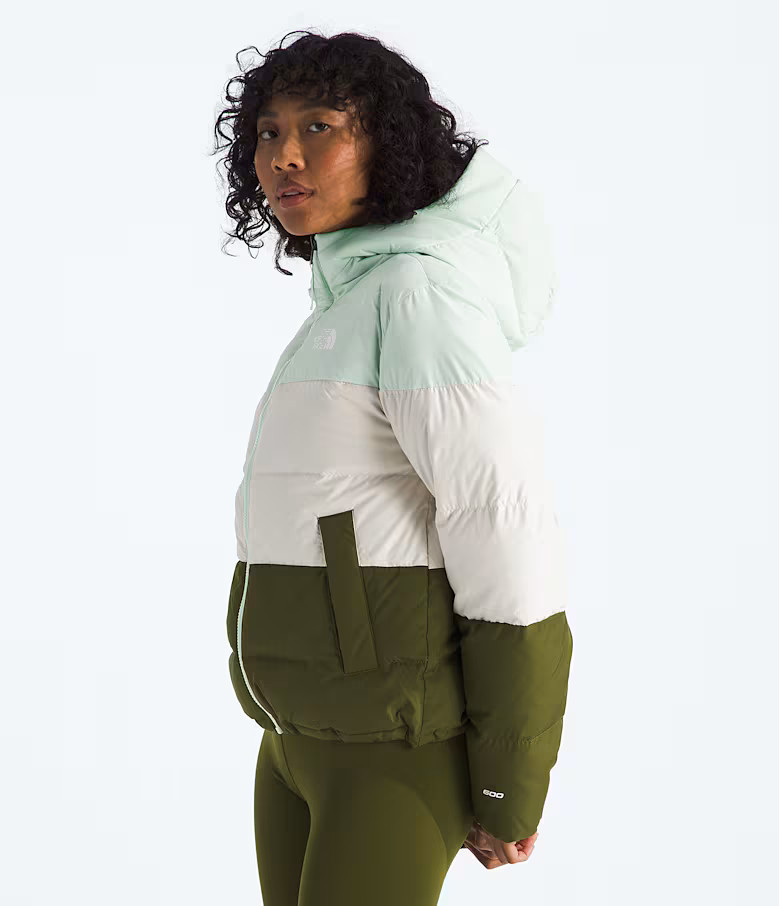 Women’s Frost Fall Hooded Jacket | The North Face (US)