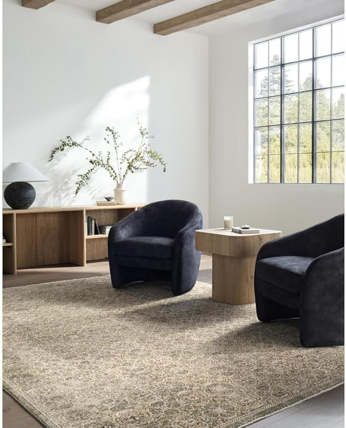 Livabliss x Galey Alix Myrtle Avenue II Vintage Damask Area Rug, 7'10" x 10'2" (8' x 10'), Dark B... | Amazon (US)