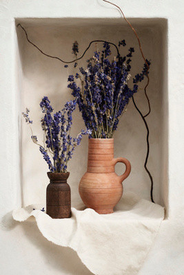 Dried Larkspur Bunch | Anthropologie (US)