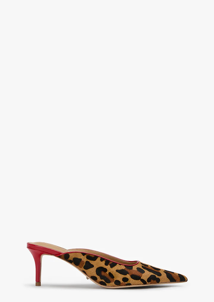 Drax Leopard | Tony Bianco US