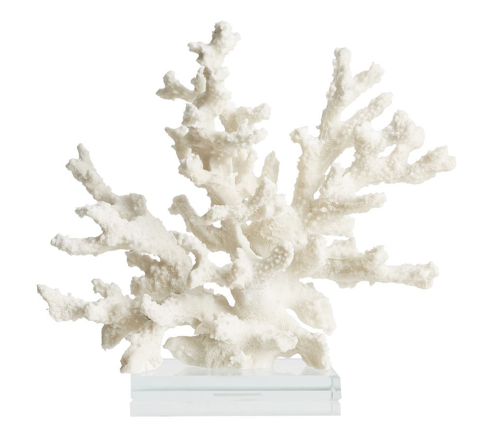 Branching Coral With Clear Glass Base Object | Pottery Barn (US)