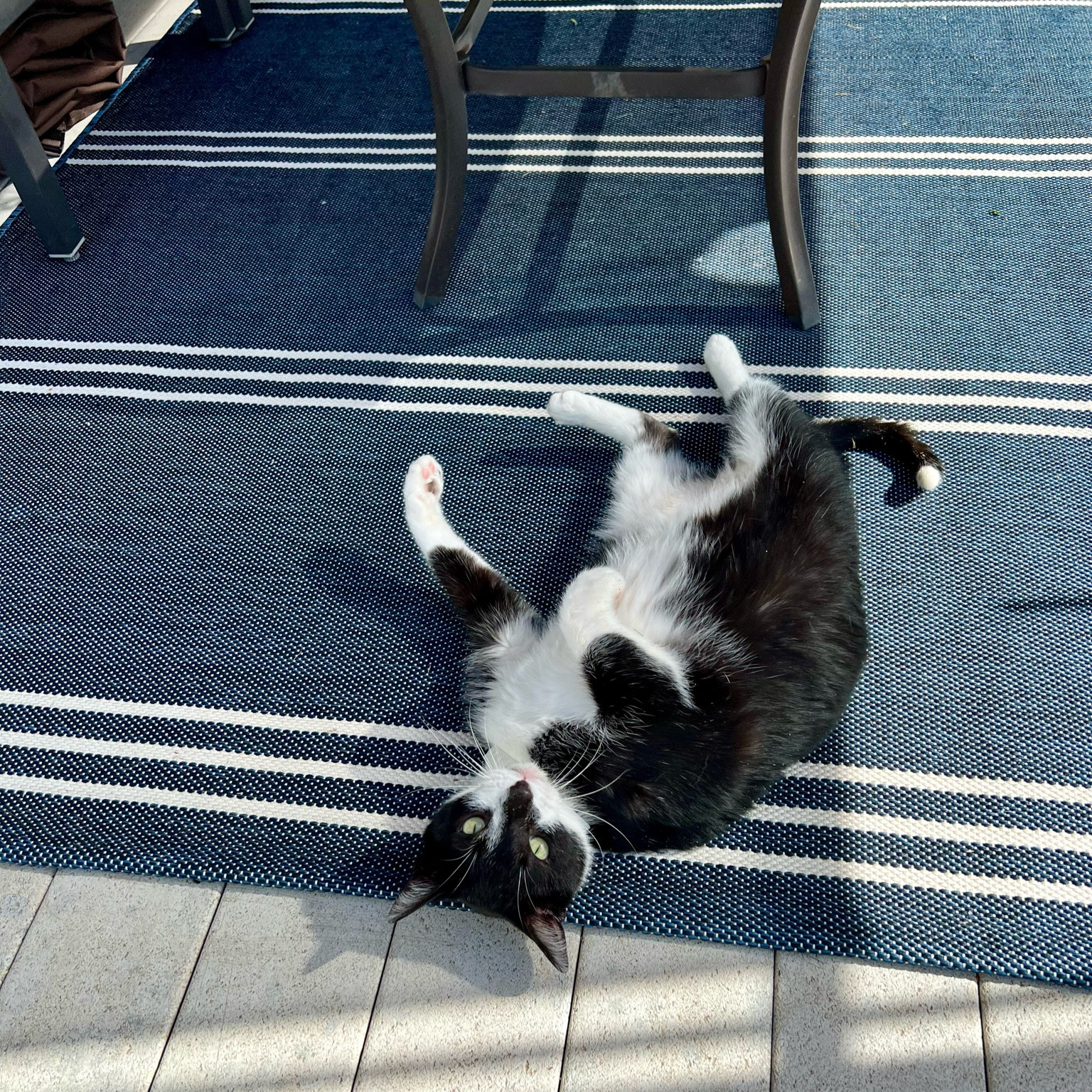 This outdoor rug is so nice you’ll want to roll around on it too.

#LTKHome #LTKSeasonal #LTKFindsUnder100