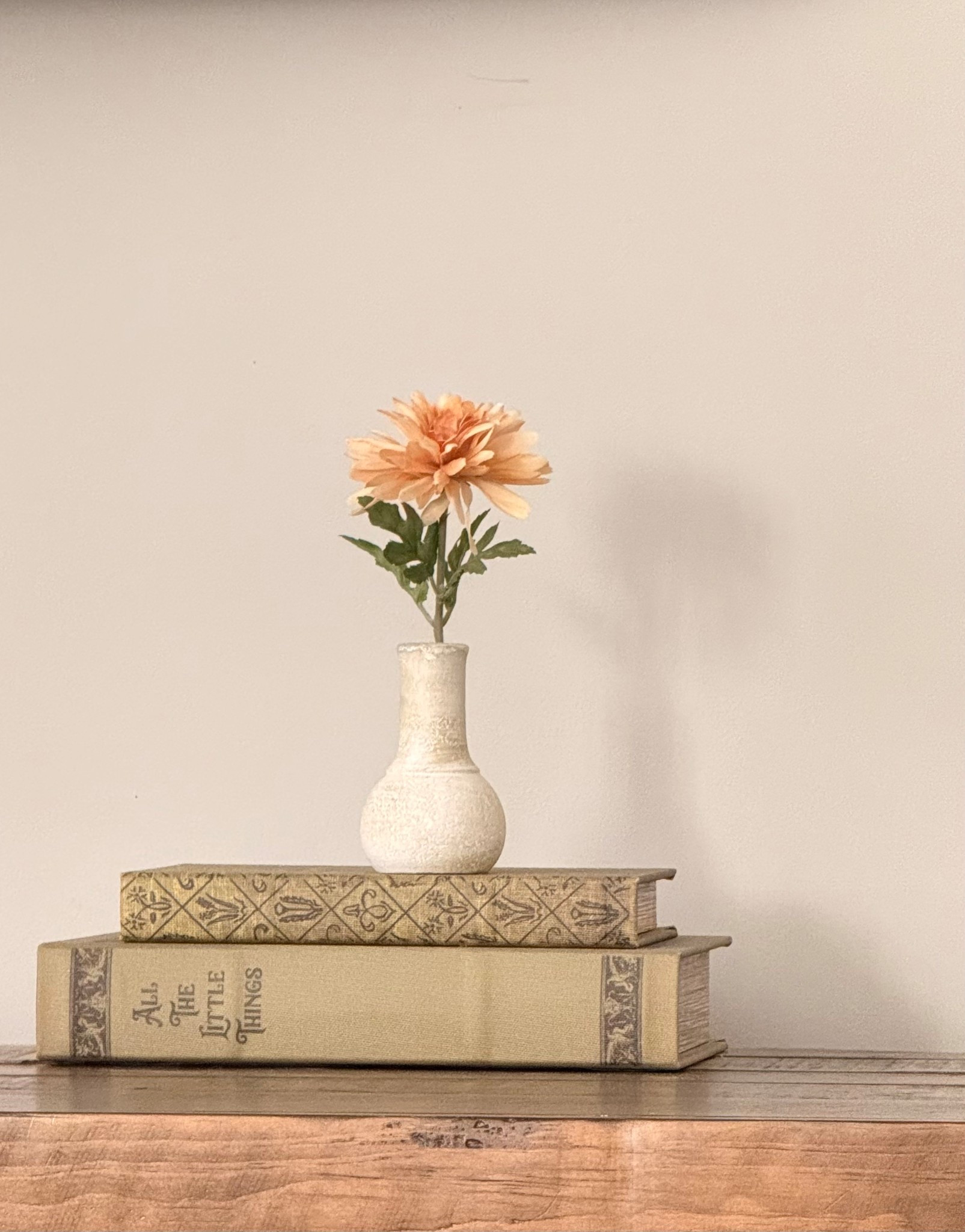 These decorative storage books from Creative Co-Op are one of those little styling pieces that make everything look more elevated. I love using them on consoles, shelves, and nightstands for that warm collected look, and the hidden storage is such a good bonus. So pretty for layering with vases, candles, or any little accent pieces 🤍

For a slightly shorter version:

Obsessed with these decorative storage books from Creative Co-Op. They add so much warmth and texture to a space, and the hidden storage makes them even better. Such a pretty styling piece for shelves, consoles, or a nightstand 🤍

🔗 Linked below 👇 



#LTKHome