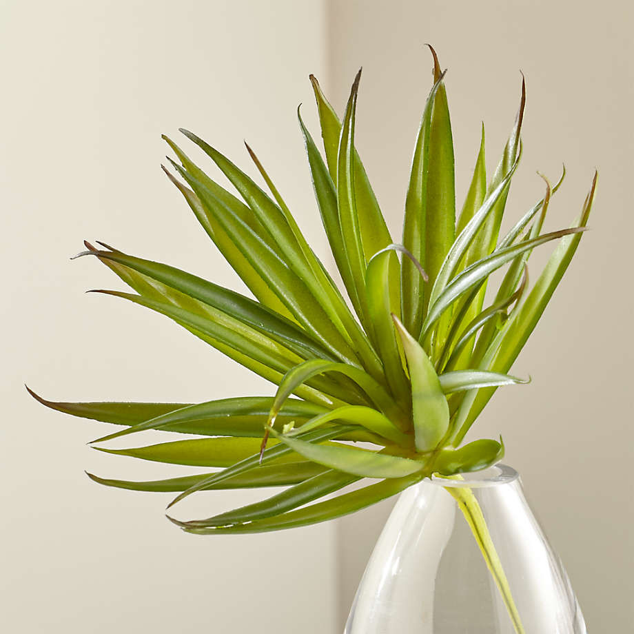 Green Artificial/Faux Yucca Succulent Stem + Reviews | Crate & Barrel | Crate & Barrel