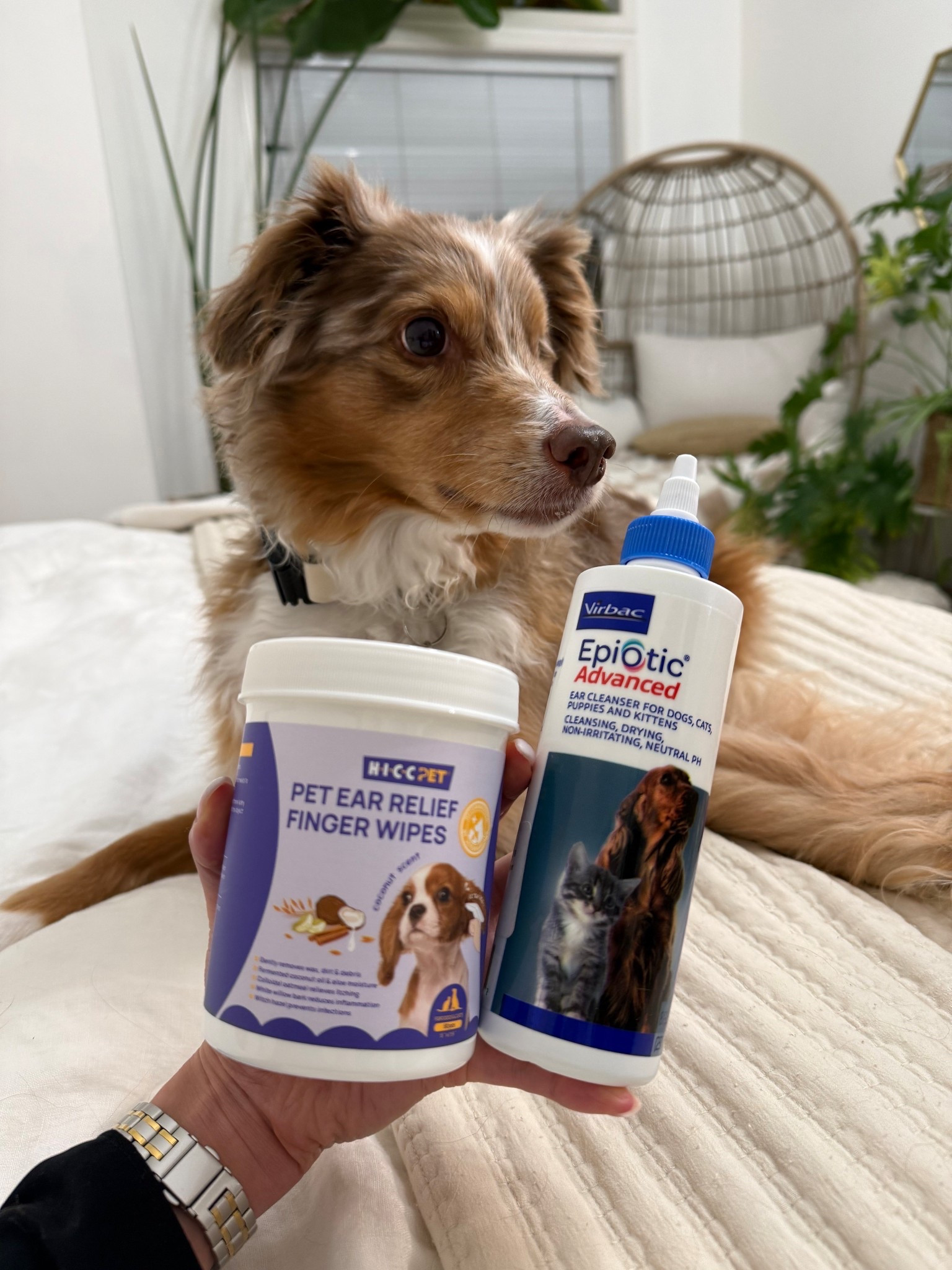 Our favorite ear cleaning products! 